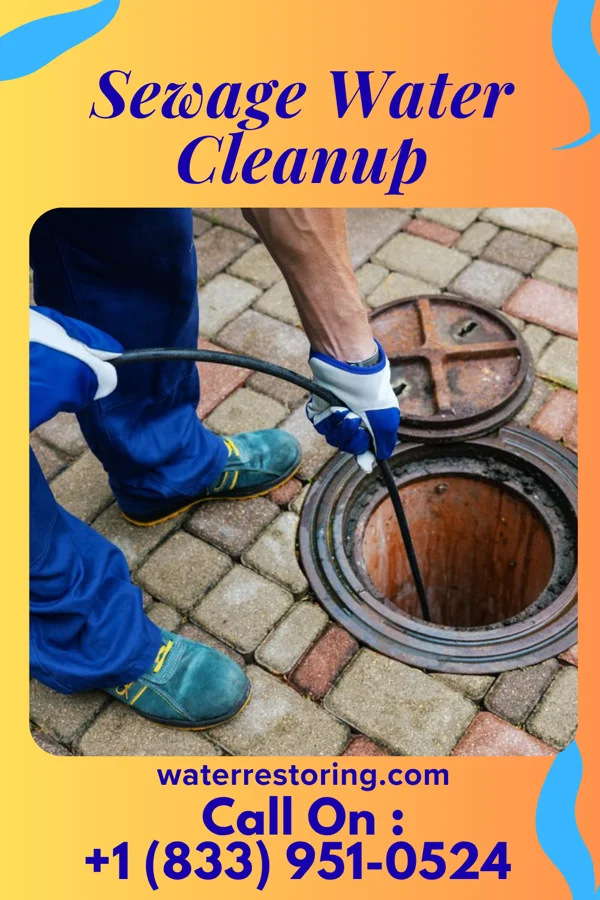 Sewage Water Cleanup in Wrightsboro, NC